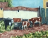 Inquisitive cows - Viscri