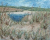 Estuary-dunes