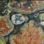 Rock pool with lichen stone