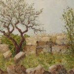 Olive tree among the ruins of Al Bara